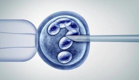 厦门妇幼保健院试管检查费用全解析，详细清单在此！