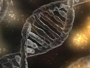 在郴州做第三代试管婴儿的大概费用是多少？如何节省费用？